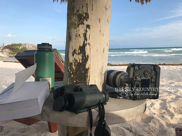 table under a beach umbrella with binoculars, camera and bird book