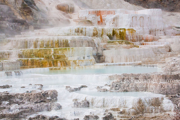 Palette Terrace - Mammoth - Yellowstone National Park