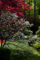 Nishinomiya Tsutakawa Japanese Garden - Manito Park - Spokane -5