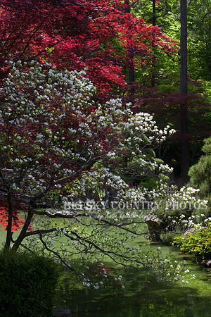Nishinomiya Tsutakawa Japanese Garden - Manito Park - Spokane -5
