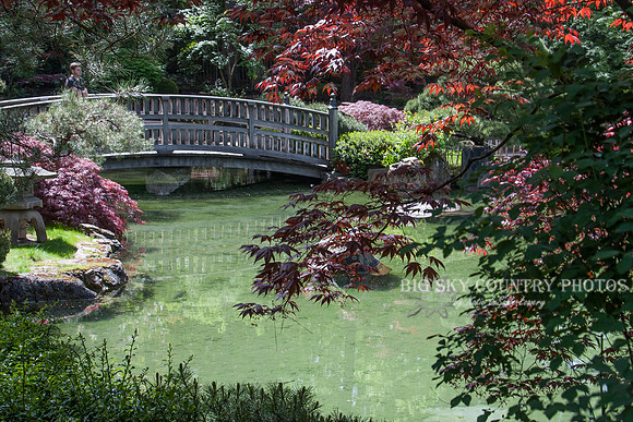 Nishinomiya Tsutakawa Japanese Garden - Manito Park - Spokane
