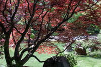 Nishinomiya Tsutakawa Japanese Garden - Manito Park - Spokane 7