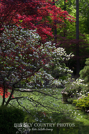 Nishinomiya Tsutakawa Japanese Garden - Manito Park - Spokane -5