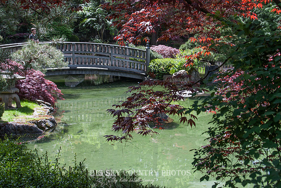 Nishinomiya Tsutakawa Japanese Garden - Manito Park - Spokane