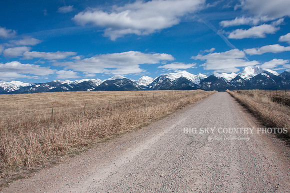 gravel road leading the eye to the Mission Mountains