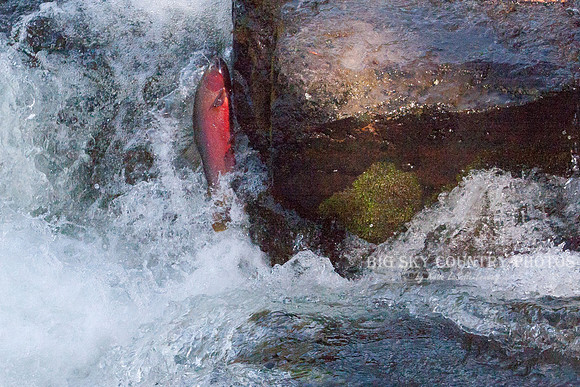 Leap of Faith 10