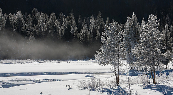 Freezing Fog Over Soda Butte Creek
