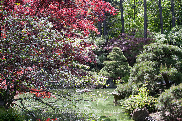 Nishinomiya Tsutakawa Japanese Garden - Manito Park - Spokane -6