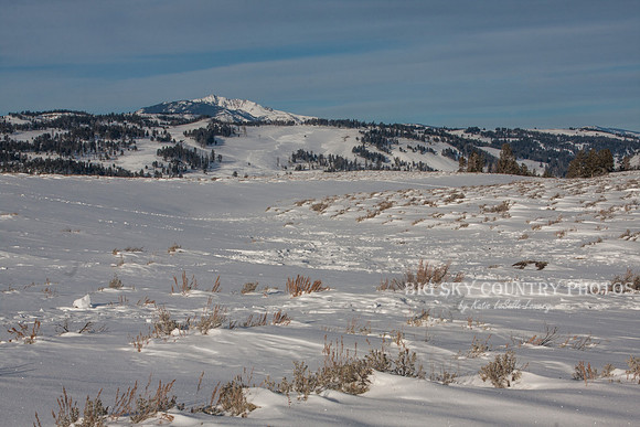 a windswept snow covered prairie with snow covered mountains in the background