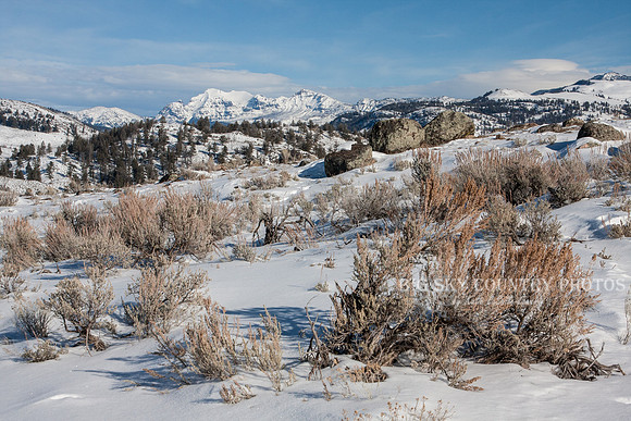 winter scene with mountain peaks in the distance and sagebrush and boulders in foreground