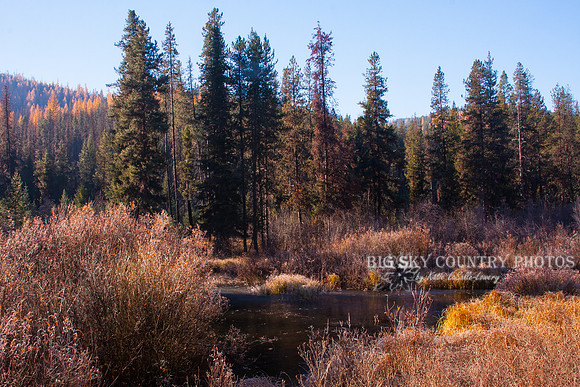 Teepee Creek Fall Frost 2013 -2