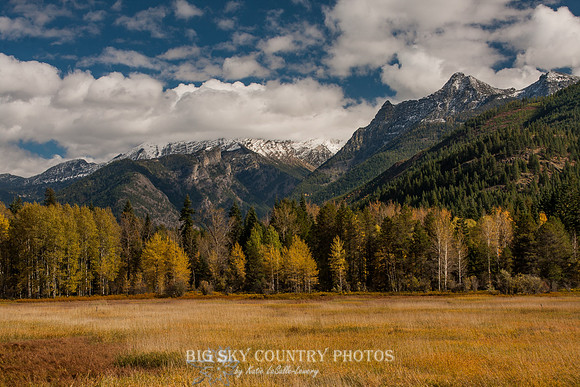Fall In The Cabinet Mountains - 2013 -2