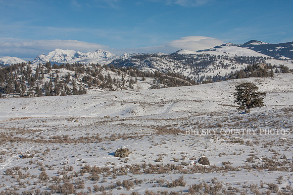 winter scene with mountain peaks in the distance and sagebrush and boulders in foreground