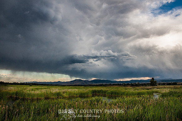 Summer Thunder -3
