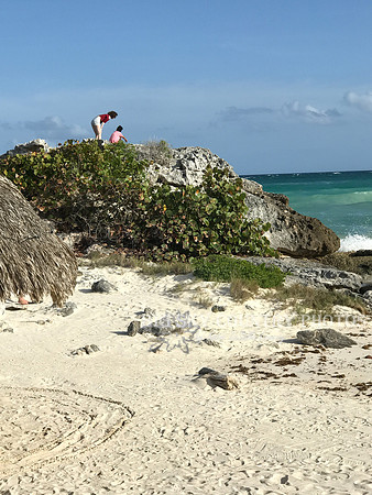 caribbean sea ocean view from Zamas Hotel - Tulum, Mexico