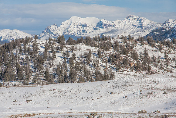 winter scene with mountain peaks in the distance and sagebrush and boulders in foreground