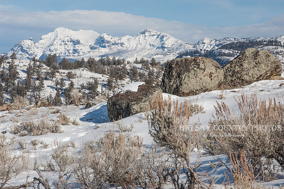 winter scene with mountain peaks in the distance and sagebrush and boulders in foreground