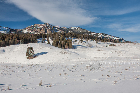 a snow covered windswept prairie with a mountain in the background on a sunny day