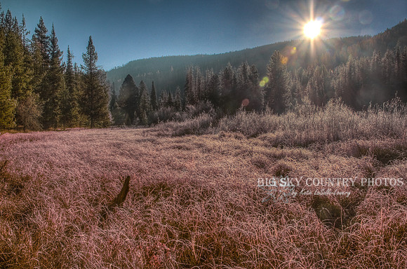 Teepee Creek Fall Frost 2013