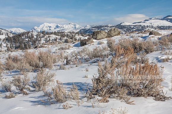 winter scene with mountain peaks in the distance and sagebrush and boulders in foreground